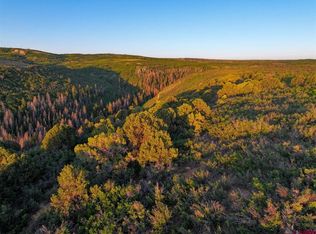 Highway 90, Montrose, CO 81401