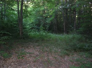 PARCEL Wolf Rd #B, Frederic, MI 49733