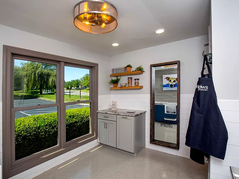 Pet-washing station