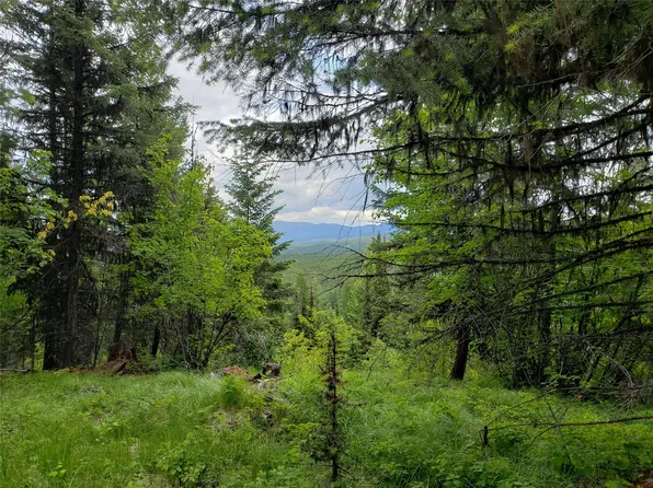 Tbd Butcher Creek Rd, Trego, MT 59934