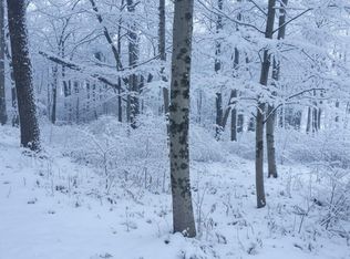 4169 Maple Hill Rd LOT E, Grawn, MI 49637