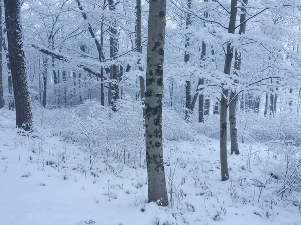 4169 Maple Hill Rd Lot E, Grawn, MI 49637