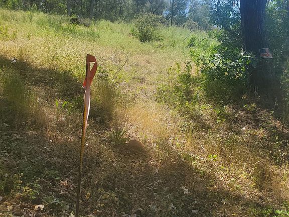 3rd image of 1190 Jurgens Rd