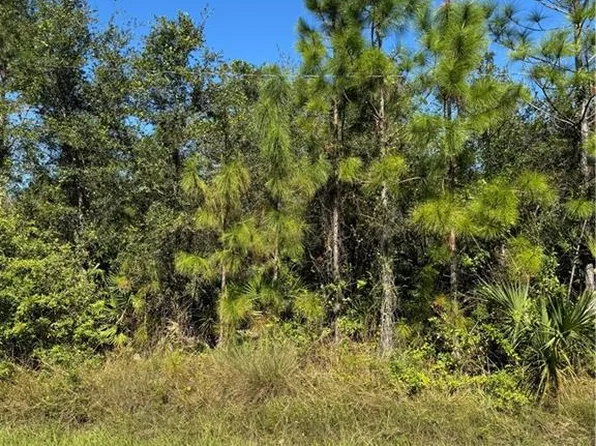 2501 E 9th ST, LEHIGH ACRES, FL 33936