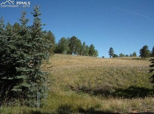 305 Pinaceae Hts, Divide, CO 80814