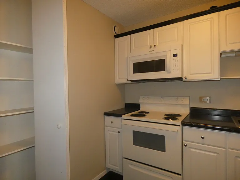 10 E Ontario St #1710 — Photo 7