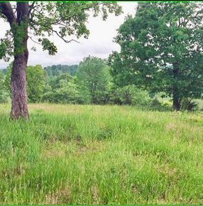 000 Tbd Private Drive County Road 116, Macomb, MO, 65702