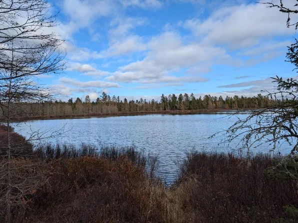 Slough Lake Rd, Gwinn, MI 49841