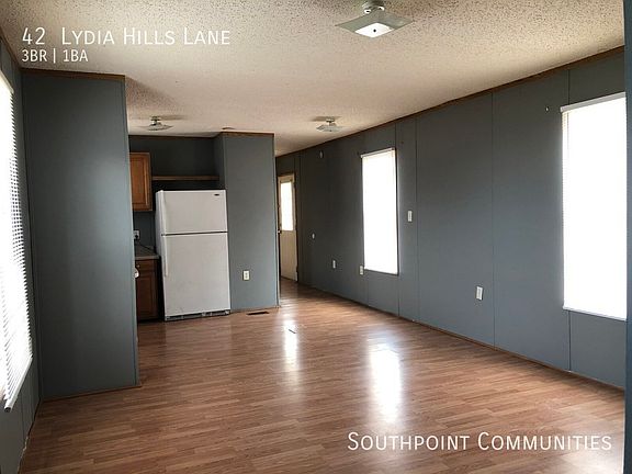 4th image of 42 Lydia Hills Ln