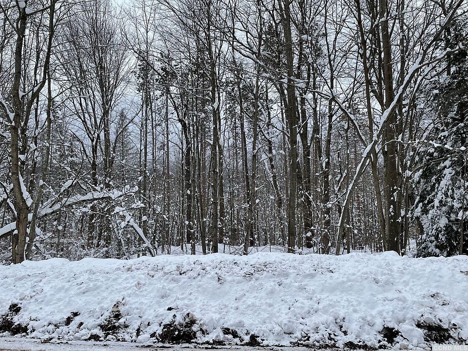 2 Mitchell Hollow Rd, Windham, NY 12496 MLS 146413 Zillow