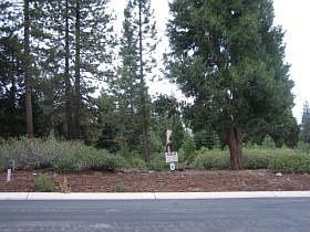1st image of 193 Fox Pine Dr