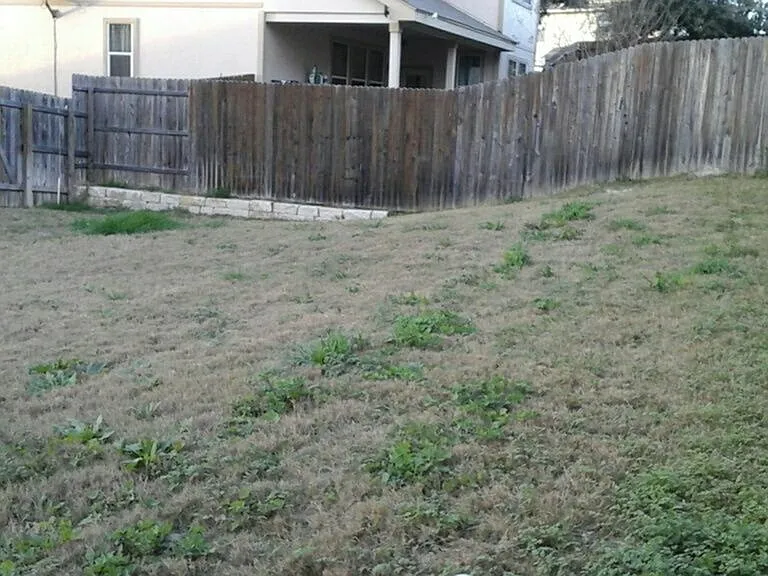 2722 Majestic Dr — Photo 5