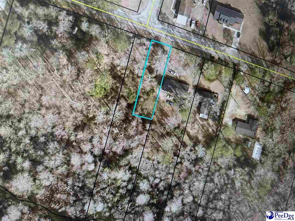 2nd image of Holly Cir