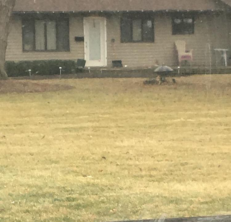 More photos available 3/1/2018