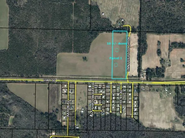 0 Highway 90, Grand Ridge, FL 32442