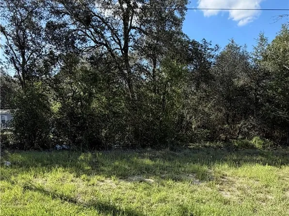 NE 106th Ter, Williston, FL 32696