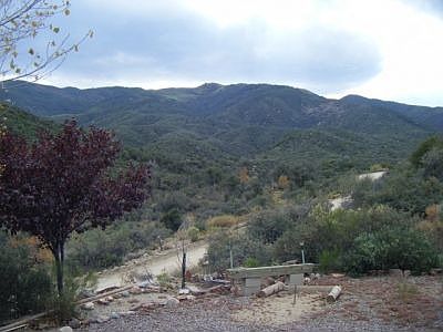 View of Pinal Mtns from front yard