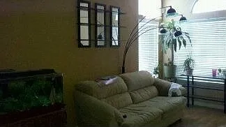 8315 Benjamin Dr photo 1
