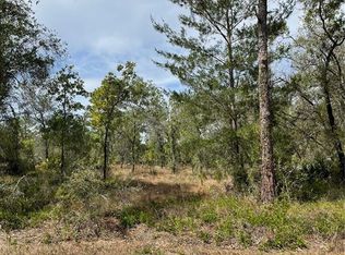 11403 Poorwill Ave #19, Brooksville, FL 34614