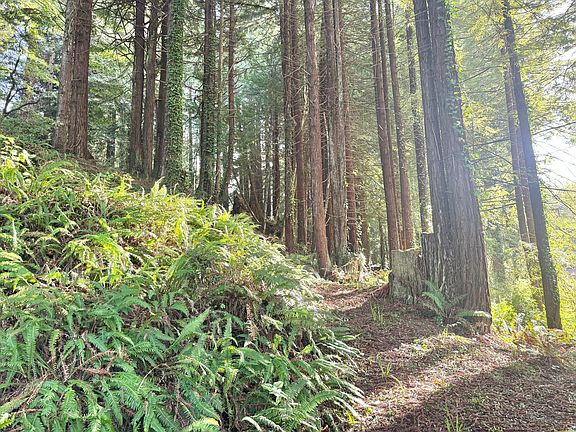 5th image of 0 Spears Rd