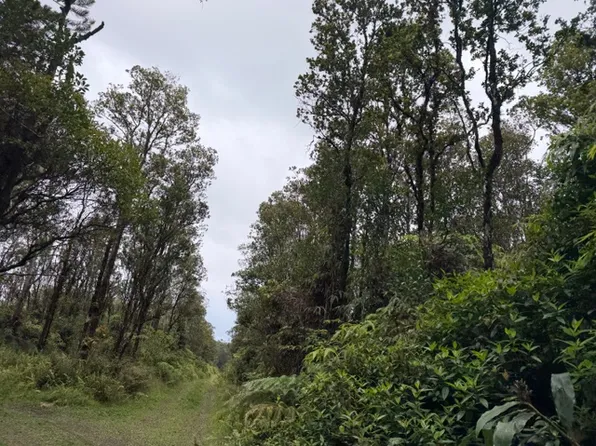 Ala Naulani Rd Lot 58, Volcano, HI 96785