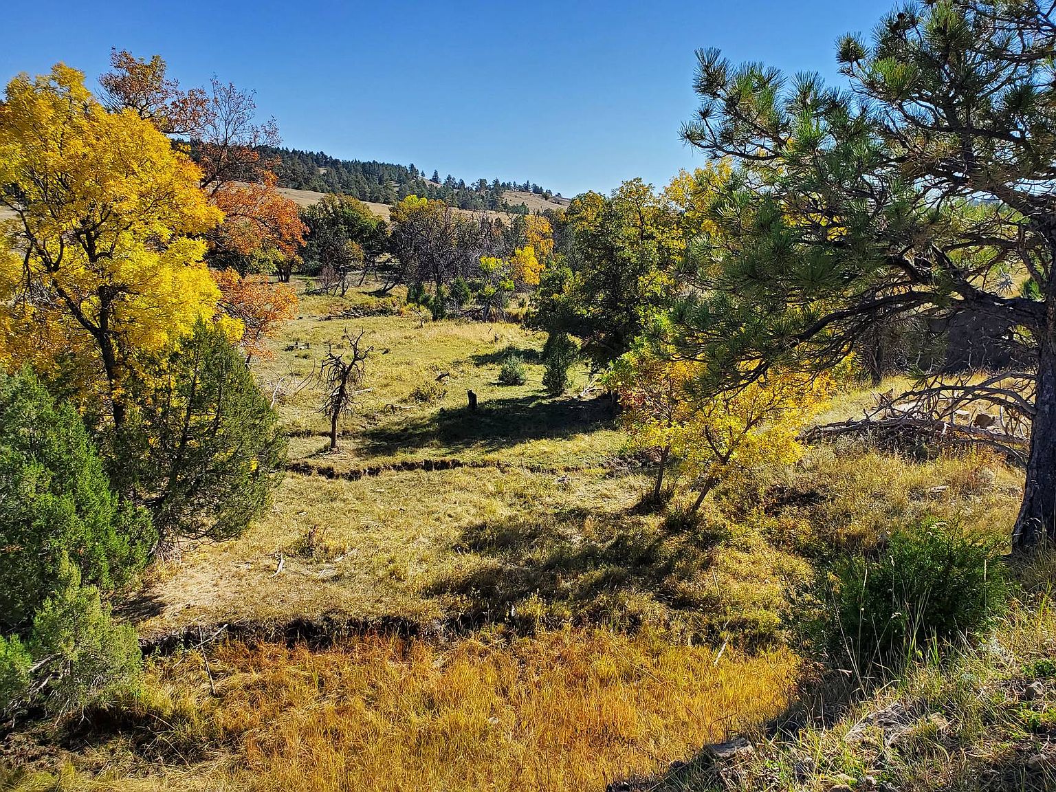 Tbd New Haven Rd, Hulett, WY 82720 MLS 11113432 Zillow