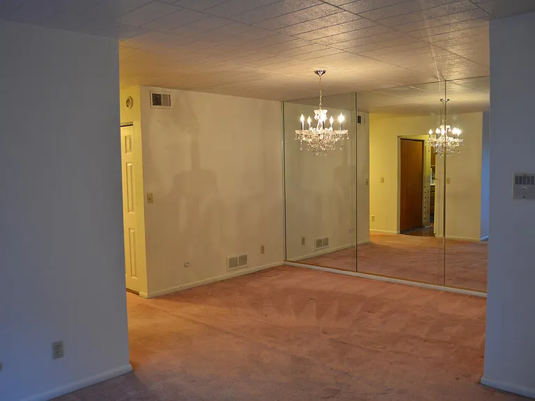 521 Forest Green Dr — Photo 15