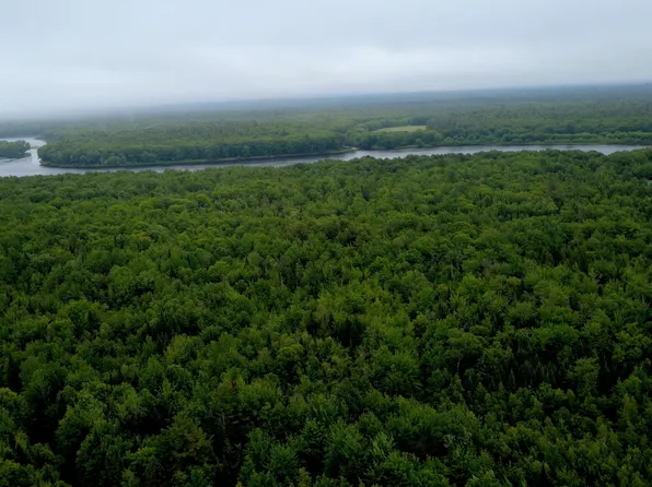 Lot 31 Edinburg Road, Argyle Twp, ME 04468