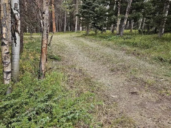 620 Balsam Road, Cimarron, CO 81220