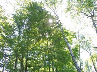 000 Wildwood Rd, Gladwin, MI 48624