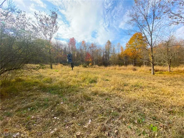Sleepy Elm Rd SW, Newcomerstown, OH 43832