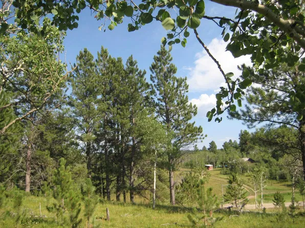 Other Sunny Mdws Lot 17, Lead, SD 57754