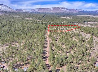 PARCEL County Road 2147 N, Alpine, AZ 85920