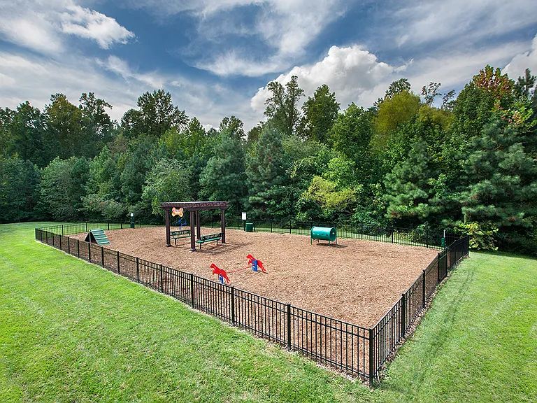 Dog Park