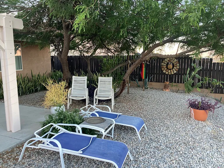 Back Yard