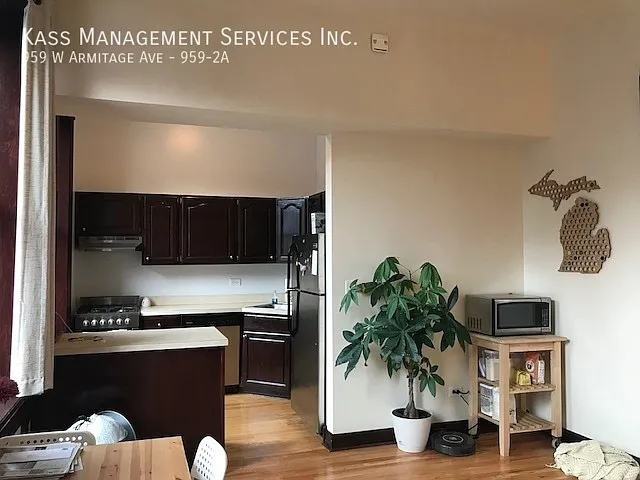 959 W Armitage Ave #2A — Photo 3