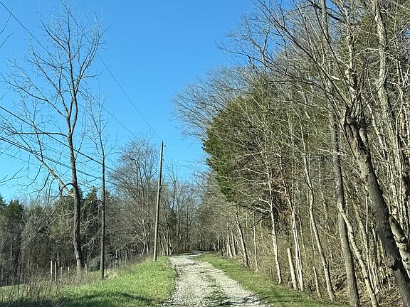 4th image of 4695 Rabbit Hash Rd