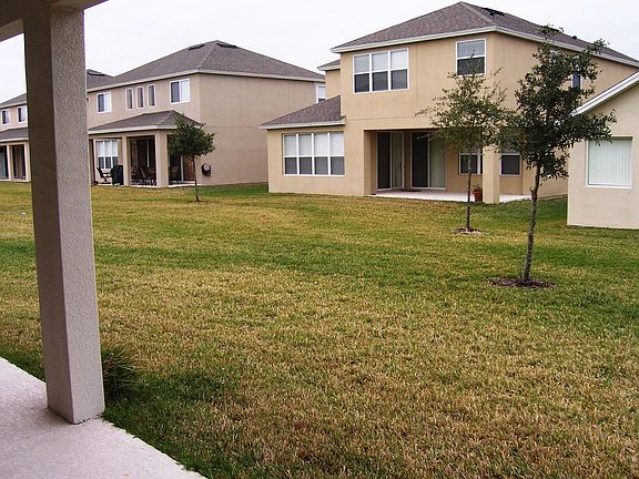 Big Back Yard