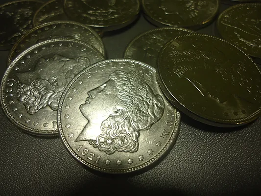 Rented by The Coop Connection LLC | media 25