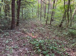 Malone Gap Rd, Maynardville, TN 37807