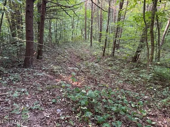 Malone Gap Rd, Maynardville, TN 37807