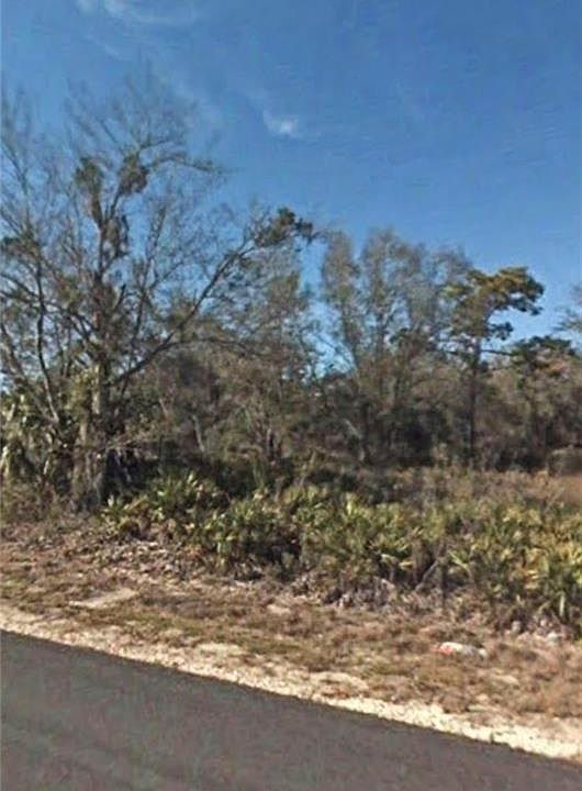 2nd image of 11959 W Cockscomb Dr