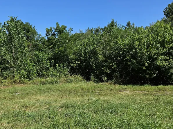 000 Hickory Street, Noel, MO 64854