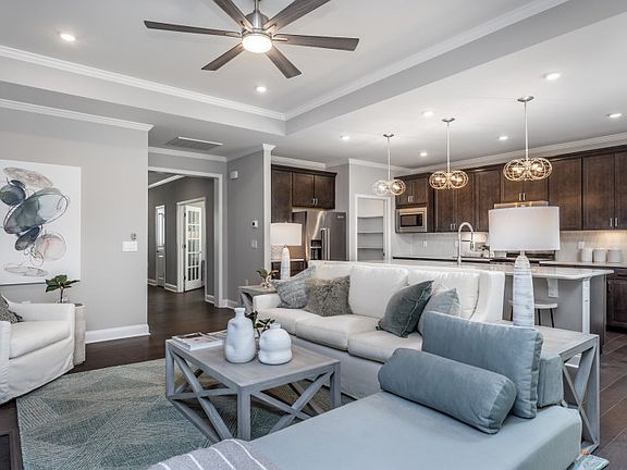 Model Representation