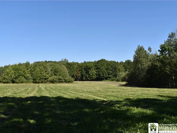 0 Route 39 #17, Perrysburg, NY 14129