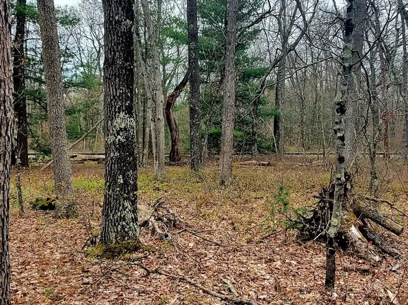 Oakwood Blvd, Bitely, MI 49309