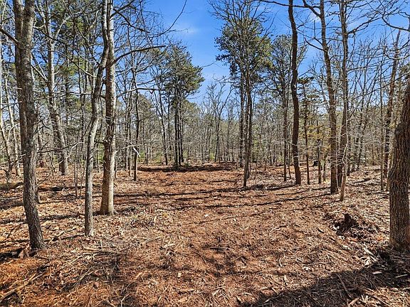 2nd image of 0 Old Long Pond Road