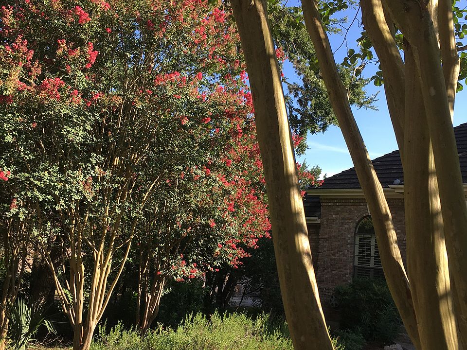 Blooming everywhere!