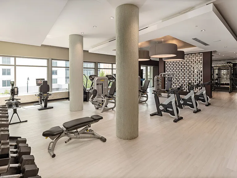 Modern Gym Featuring Free Weights and Cardio Zone in Light Wood Aesthetic