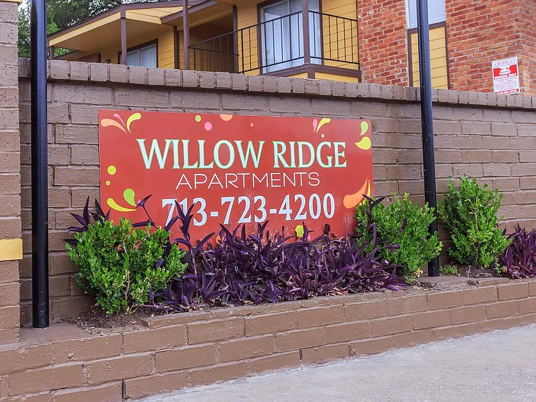 Willow Ridge — Photo 27